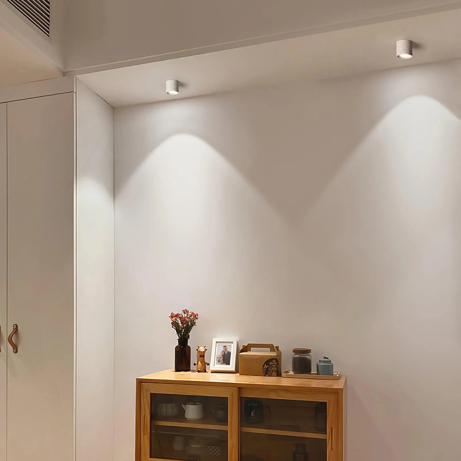 VertexPoint Cylinder Downlight