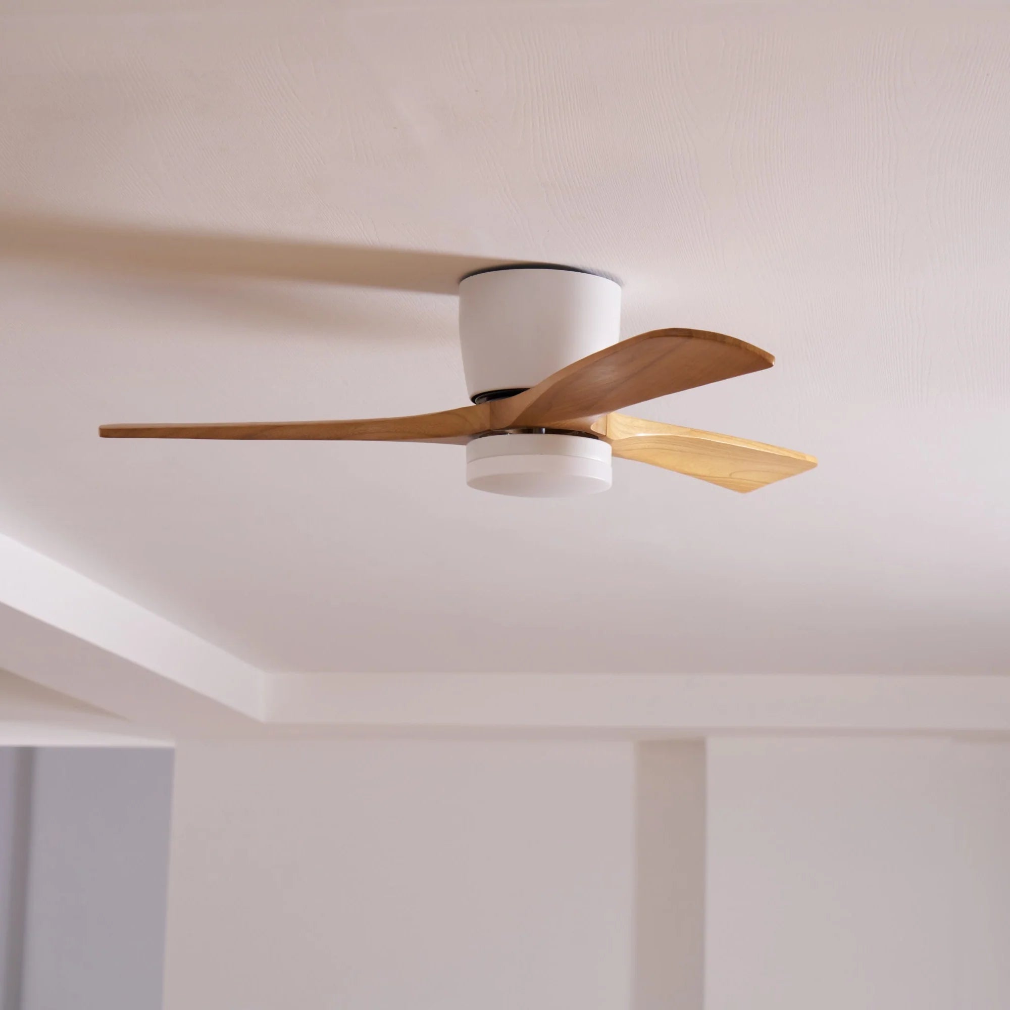 EcoAura Timber Fan Light