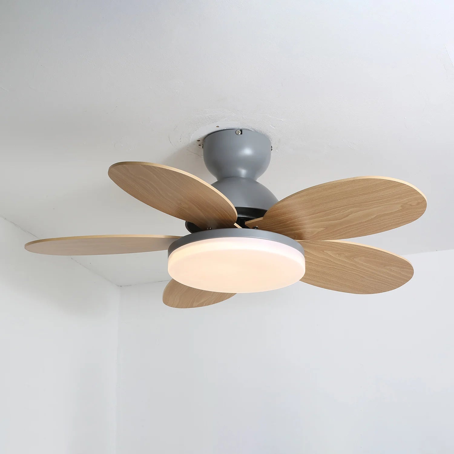 PetalBreeze Chromatic Fan Light