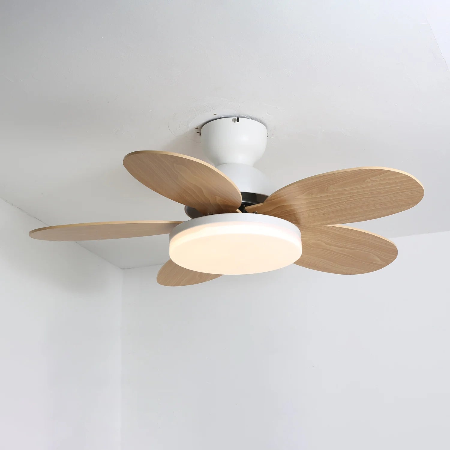 PetalBreeze Chromatic Fan Light