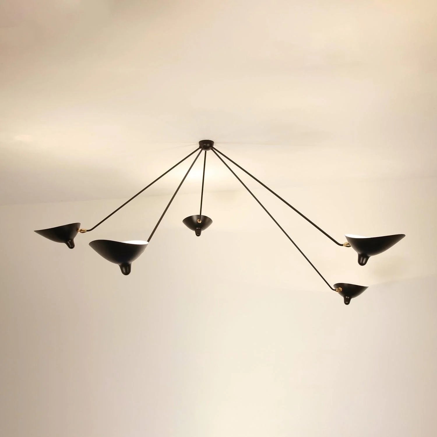 CelestialArch Sculptural Ceiling Light