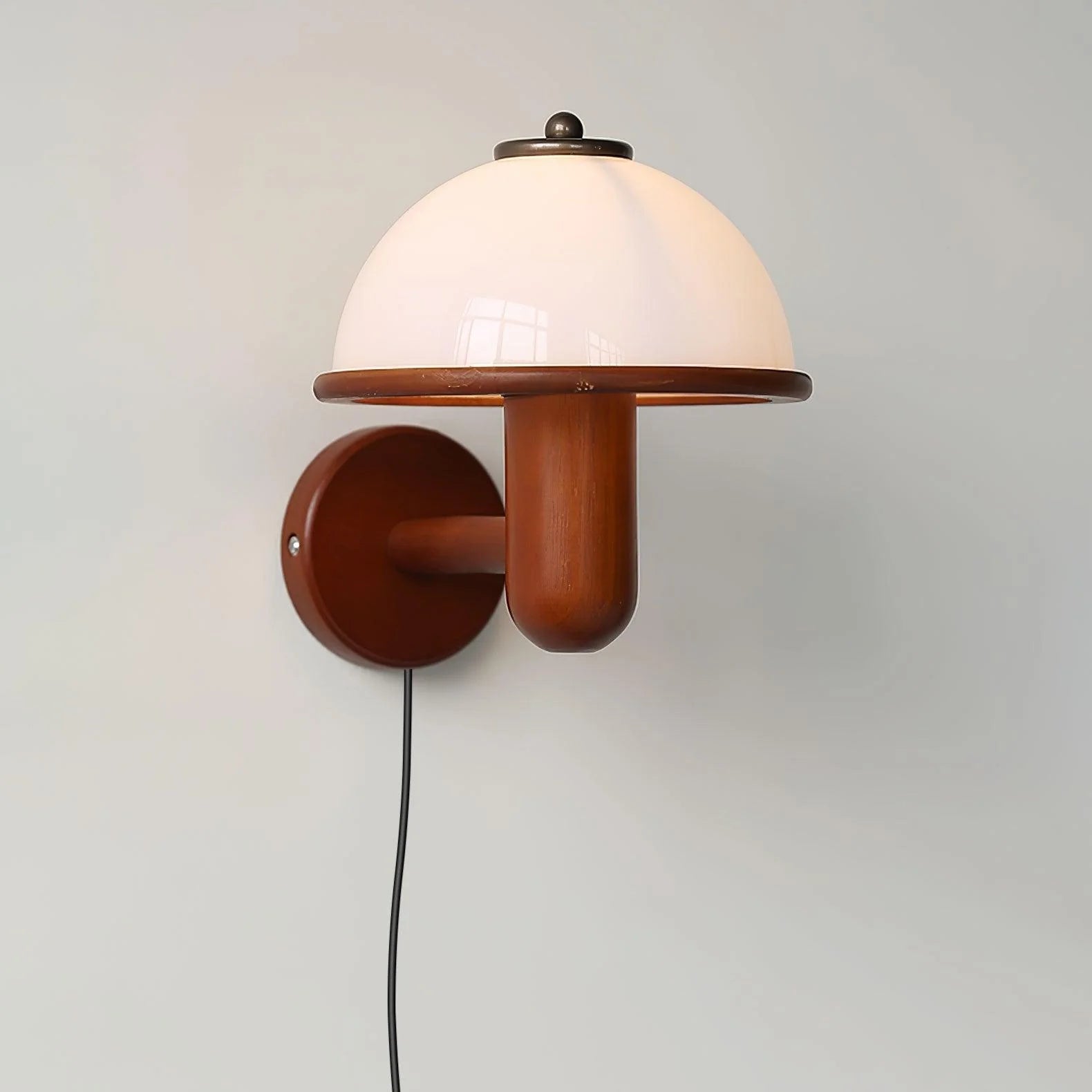 SylvanSoft Acrylic Wall Lamp