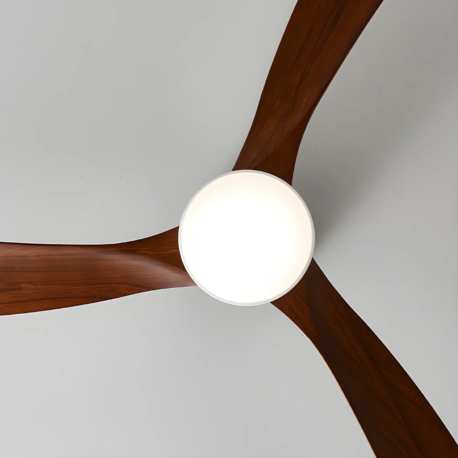 EcoAura Timber Fan Light