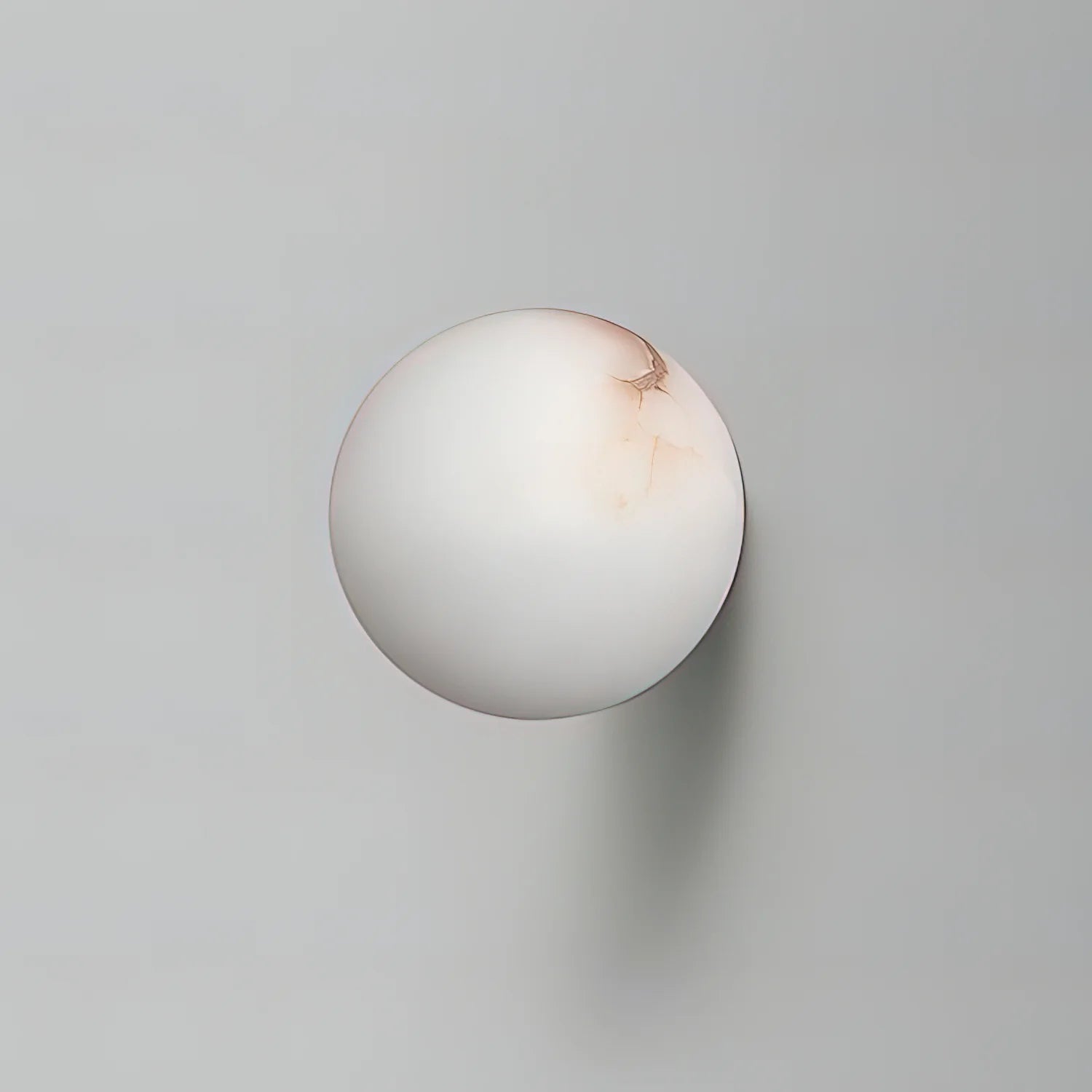 AlabasterMoon Globe Wall Sconce