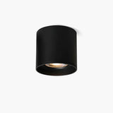 VertexPoint Cylinder Downlight