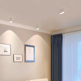 VertexPoint Cylinder Downlight