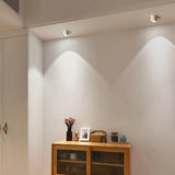 VertexPoint Cylinder Downlight
