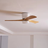 EcoAura Timber Fan Light