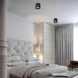 VertexPoint Cylinder Downlight