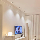 VertexPoint Cylinder Downlight