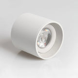VertexPoint Cylinder Downlight