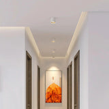 VertexPoint Cylinder Downlight