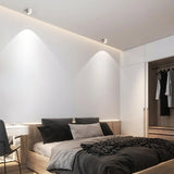 VertexPoint Cylinder Downlight