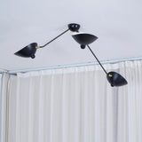 CelestialArch Sculptural Ceiling Light