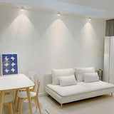 VertexPoint Cylinder Downlight