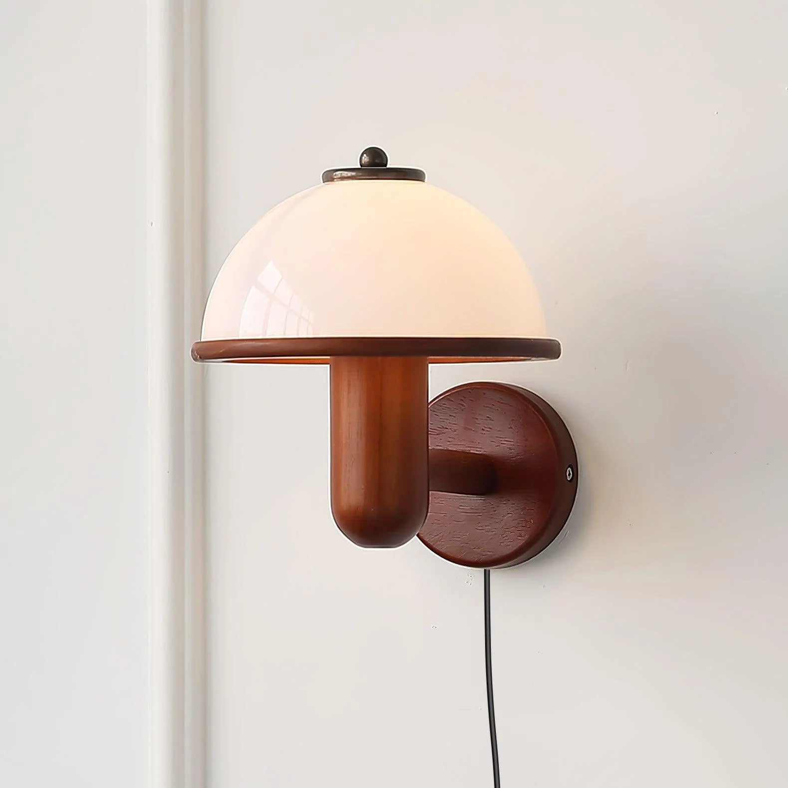 SylvanSoft Acrylic Wall Lamp
