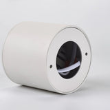 VertexPoint Cylinder Downlight