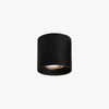 VertexPoint Cylinder Downlight