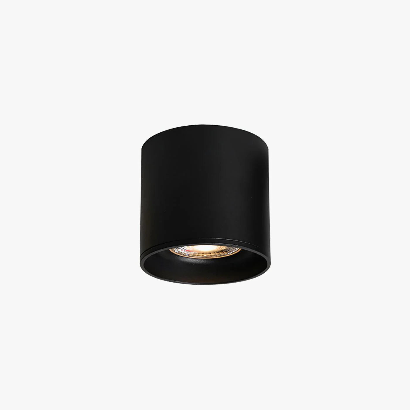 VertexPoint Cylinder Downlight