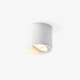 VertexPoint Cylinder Downlight