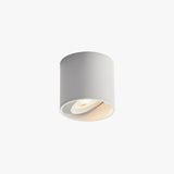 VertexPoint Cylinder Downlight