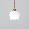 AuroraBloom Glass Pendant Light
